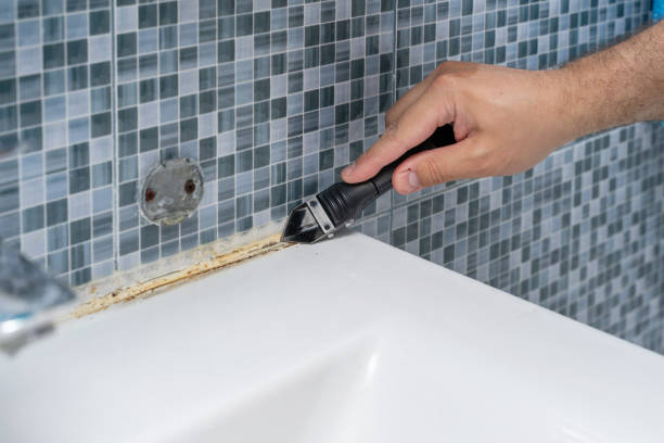 Best Mold Damage Repair  in Hokendauqua, PA